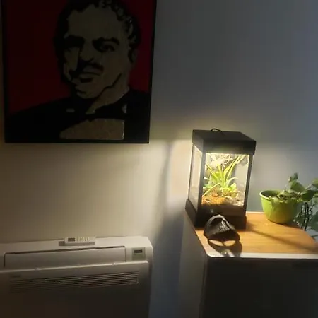 Pikihostel *