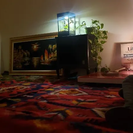 Pikihostel ホステル